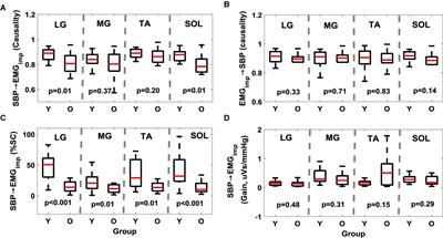 Effect of Aging on Muscle-Pump Baroreflex of Individual Leg Muscles During Standing